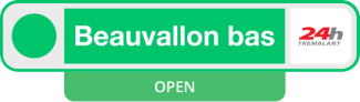 bvb open